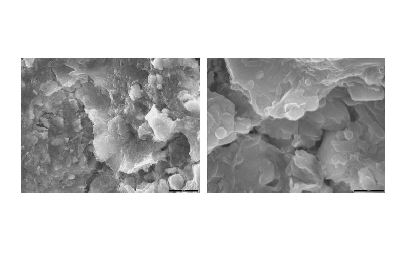 Figura 4: Microscopía electrónica de barrido mostrando biofilms de bacterias desnitrificantes sobre granos de arena de las columnas de laboratorio.